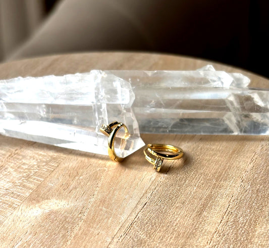 Mini Carter Hoop Earrings